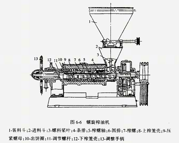 榨油機廠家教您如何解決榨油機不進料的現(xiàn)象？