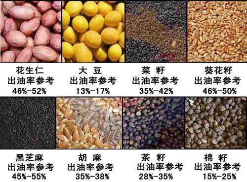 雙象榨油機出油率介紹